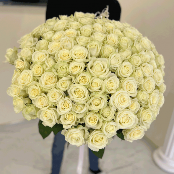 101 белая роза, лента в Саках