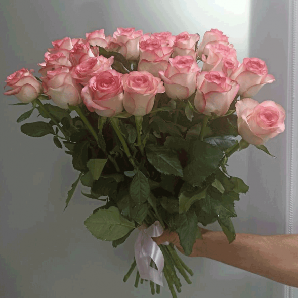 21 нежно-розовая роза, лента в Саках