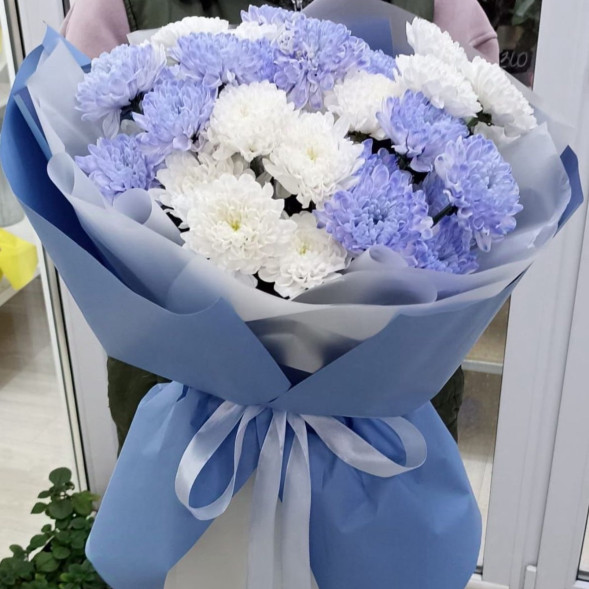 7 белых и голубых хризантем  в Саках