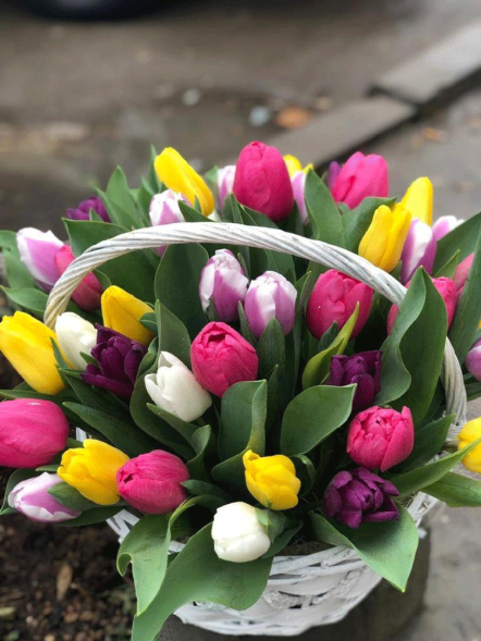41 тюльпан микс в корзине в Саках