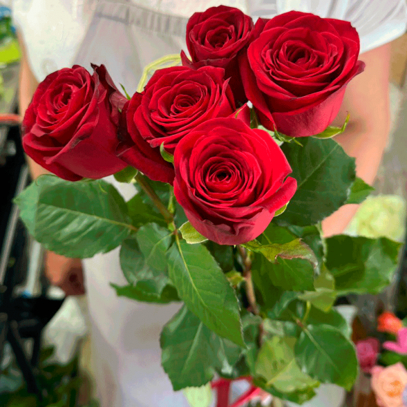 5 красных роз в Саках