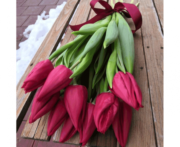 11 красных тюльпанов, лента в Саках