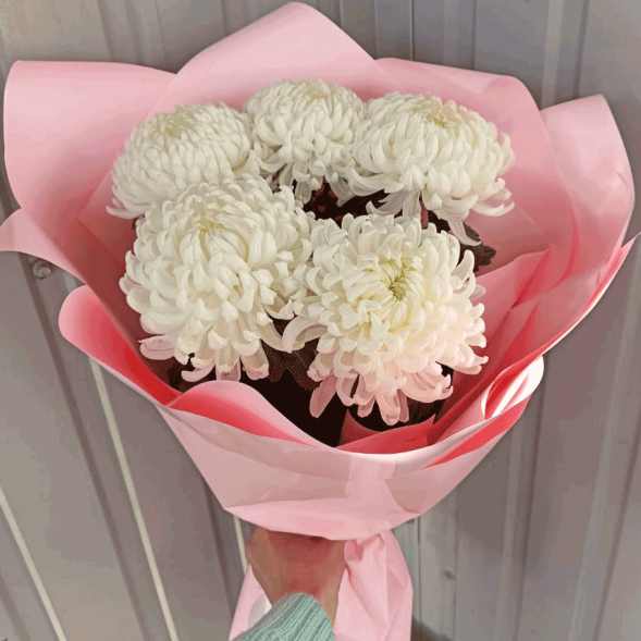 Букет 5 одноголовых хризантем в Саках