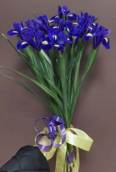 Букет 11 ирисов  в Саках
