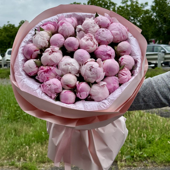 29 пионов &quot;Сара-Бернар&quot; в нежно-розовой упаковке в Саках