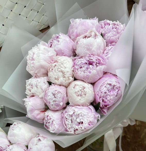 15 пионов Сара Бернар в Саках